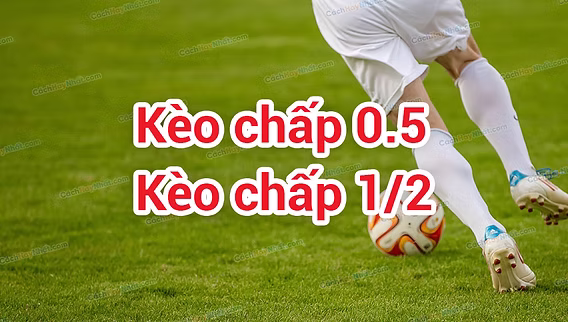 Kèo Chấp 0.5 Go88 Và Cách Đánh Giá Khả Năng Thắng Kèo